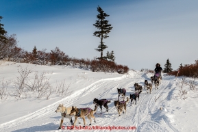 Jessie Royer drops onto the Fish River in the afternoon on her way into the White Mountain checkpoint on Tuesday March 16, 2015 during Iditarod 2015.  (C) Jeff Schultz/SchultzPhoto.com - ALL RIGHTS RESERVED DUPLICATION  PROHIBITED  WITHOUT  PERMISSION