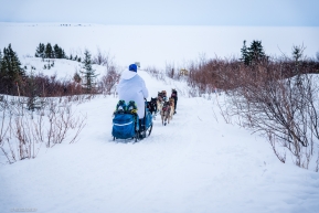 Jessica Klejka and her team head out of Koyuk on their way to Elim on March 17, 2020.