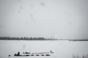 Teams resting in White Mountain, just 77 miles from Nome, March 17th, 2020.