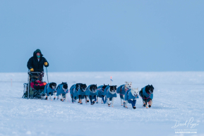 Jessie Holmes En Route to Nome