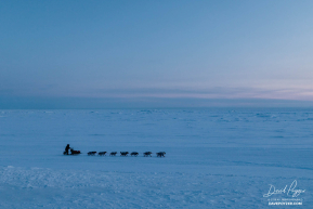 Jessie Holmes Coming Into Nome