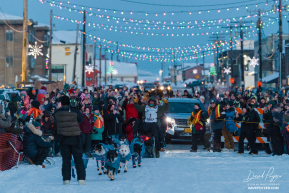 Jessie Holmes 2026 Iditarod Champion