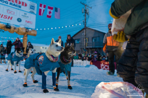 2026 Iditarod Champion Jessie Holmes