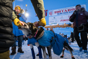 2026 Iditarod Champion Jessie Holmes