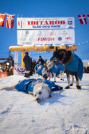 2026 Iditarod Champion Jessie Holmes