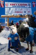 2026 Iditarod Champion Jessie Holmes