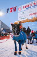 2026 Iditarod Champion Jessie Holmes