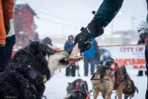 Special post race treats for Kelly Maixner's Iditorod finishers in Nome, AK on March 18, 2020.