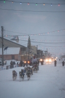 Aliy Zirkle of Two Rivers, AK, finishes in Nome in 18th place in the 2020 Iditarod on March 18th, 2020.