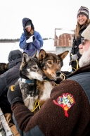 Dropped dogs leaving the White Mountain checkpoint to fly back to Anchorage, March 18, 2020.