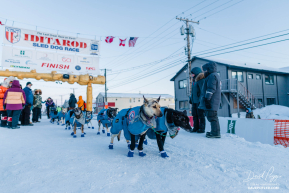 Jessie Royer 2026 Iditarod 12th Place Finisher
