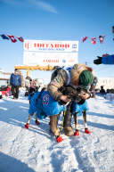 Hanna Lyrek 2026 Iditarod Finisher