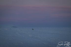 Ryan Redington 2026 Iditarod Finish