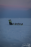 Ryan Redington 2026 Iditarod Finish