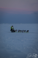 Ryan Redington 2026 Iditarod Finish