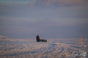 Jessie Royer 2026 Iditarod Finish