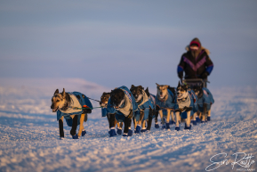 Jessie Royer 2026 Iditarod Finish