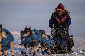 Jessie Royer 2026 Iditarod Finish