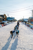Wade Marrs 2026 Iditarod 5th Place Finisher