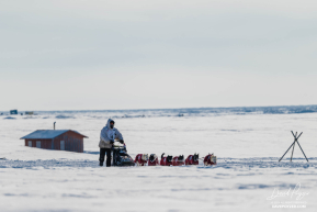 Matt Hall 2026 Iditarod 6th Place Finisher