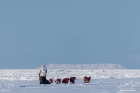 Matt Hall 2026 Iditarod 6th Place Finisher