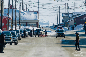 Matt Hall 2026 Iditarod 6th Place Finisher
