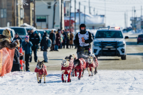 Matt Hall 2026 Iditarod 6th Place Finisher