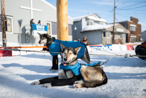 2026 7th Place Finisher Riley Dyche