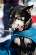 2026 7th Place Finisher Riley Dyche