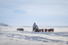 Matt Hall 2026 Iditarod 6th Place Finisher