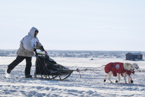 Matt Hall 2026 Iditarod 6th Place Finisher
