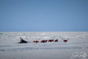 Matt Hall 2026 Iditarod 6th Place Finisher