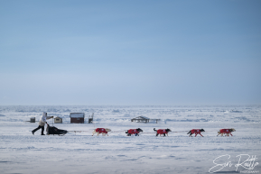 Matt Hall 2026 Iditarod 6th Place Finisher