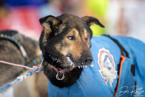 2026 8th Place Finish Lauro Eklund