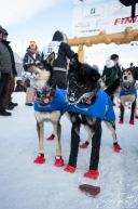 2026 9th Place Iditarod Finish, Pete Kaiser
