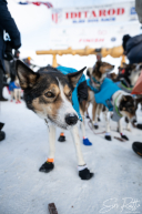 2026 10th Place Finisher Michelle Phillips