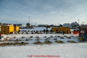 Dogs rest comfortably in the dog lot in Nome on Thursday March 19, 2015 during Iditarod 2015.  (C) Jeff Schultz/SchultzPhoto.com - ALL RIGHTS RESERVED DUPLICATION  PROHIBITED  WITHOUT  PERMISSION