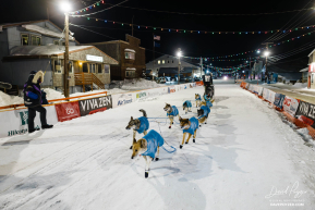 Sam Martin 2026 Iditarod 15th Place Finisher