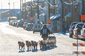 Chad Stoddard 2026 Iditarod 20th Place Finisher - 1