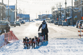 Chad Stoddard 2026 Iditarod 20th Place Finisher - 2