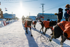 Chad Stoddard 2026 Iditarod 20th Place Finisher - 3