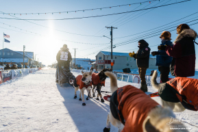 Chad Stoddard 2026 Iditarod 20th Place Finisher - 4