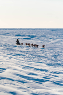 Rohn Buser on Sea Ice