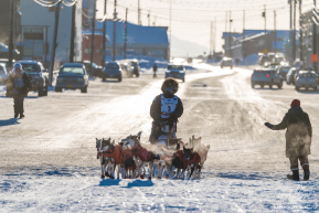Rohn Buser 2026 Iditarod 19th Place Finisher - 1