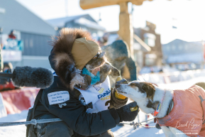 Rohn Buser 2026 Iditarod 19th Place Finisher - 4