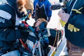 Rohn Buser 2026 Iditarod 19th Place Finisher - 5