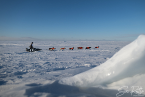 Chad Stoddard 2026 Iditarod Finish