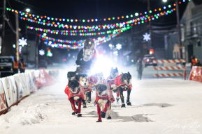 Jesse Terry 2026 Iditarod Rookie of the Year