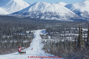 Teams run down the trail on the Denali Highway with the Alaska Range in the background during the start day of the 2015 Junior Iditarod on Sunday March 1, 2015(C) Jeff Schultz/SchultzPhoto.com - ALL RIGHTS RESERVED DUPLICATION  PROHIBITED  WITHOUT  PERMISSION