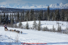 Rose Capistrant and team run down the trail on the Denali Highway with the Alaska Range in the background during the start day of the 2015 Junior Iditarod on Sunday March 1, 2015(C) Jeff Schultz/SchultzPhoto.com - ALL RIGHTS RESERVED DUPLICATION  PROHIBITED  WITHOUT  PERMISSION